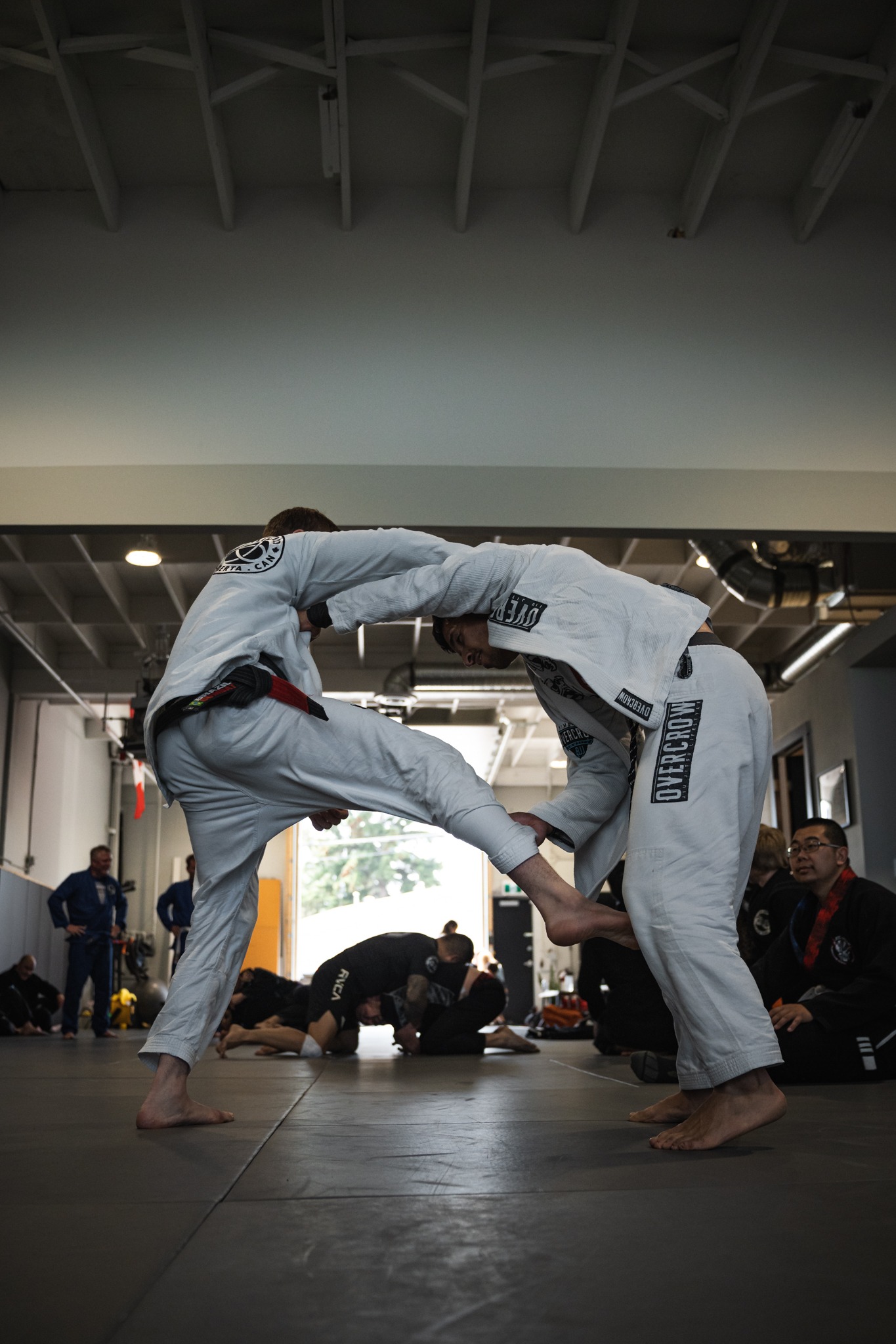 Carlson Gracie Calgary team