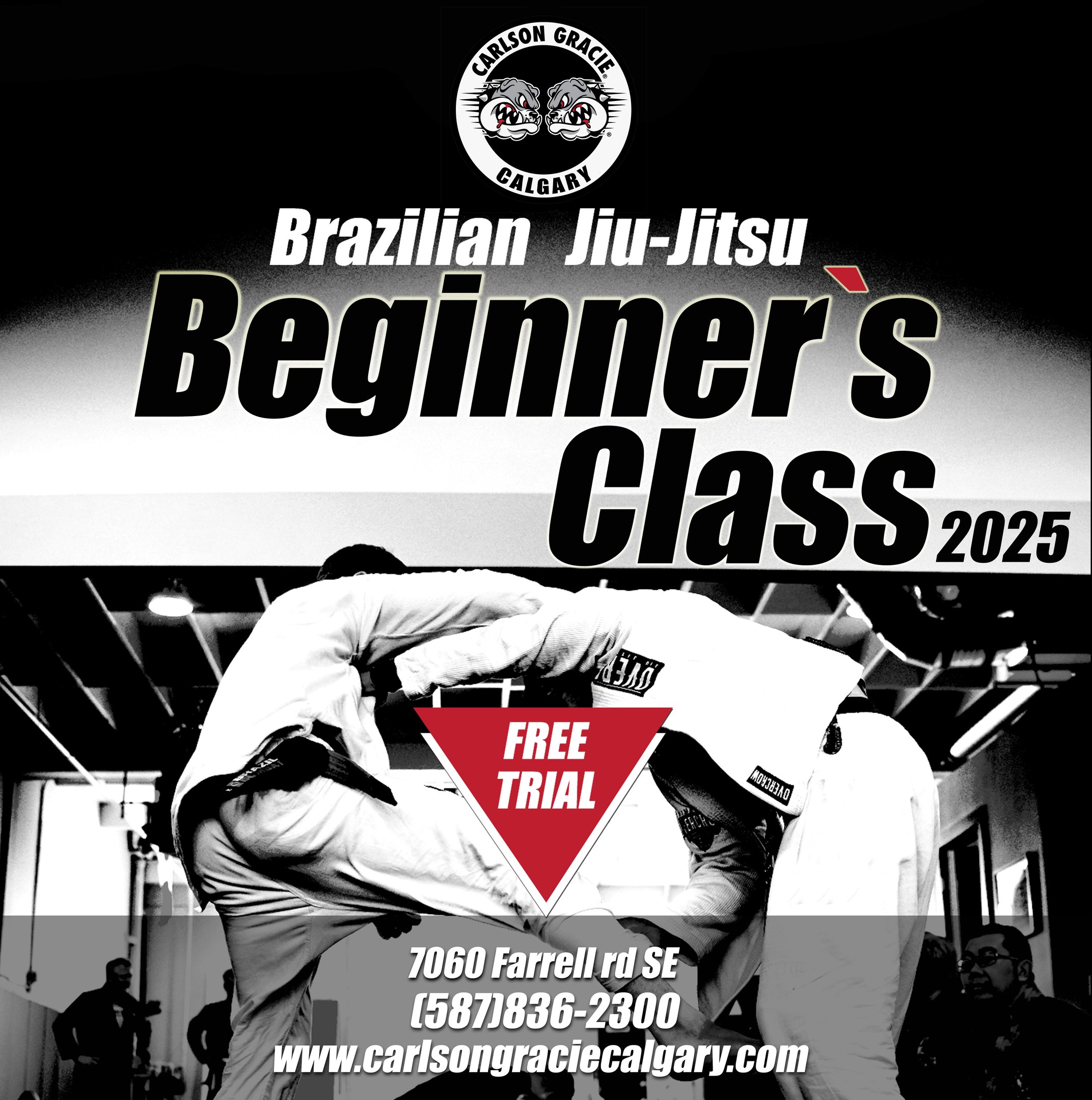 Special promotion for beginners